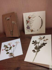 Carte postale fleurs séchées